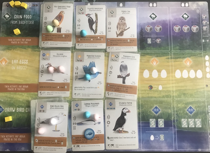 Wingspan winning collection of birds