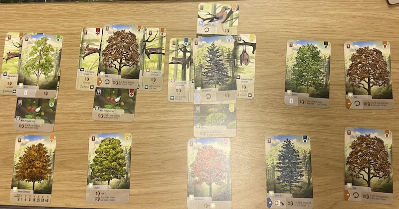 Forest Shuffle