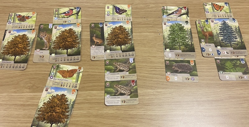 Forest Shuffle