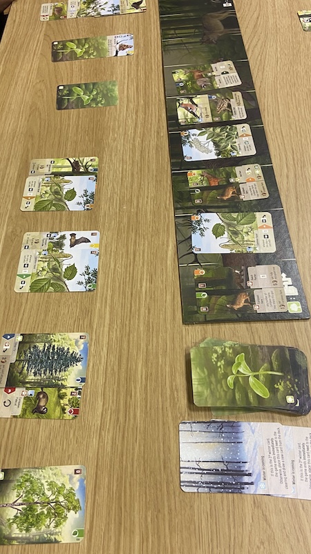 Forest Shuffle