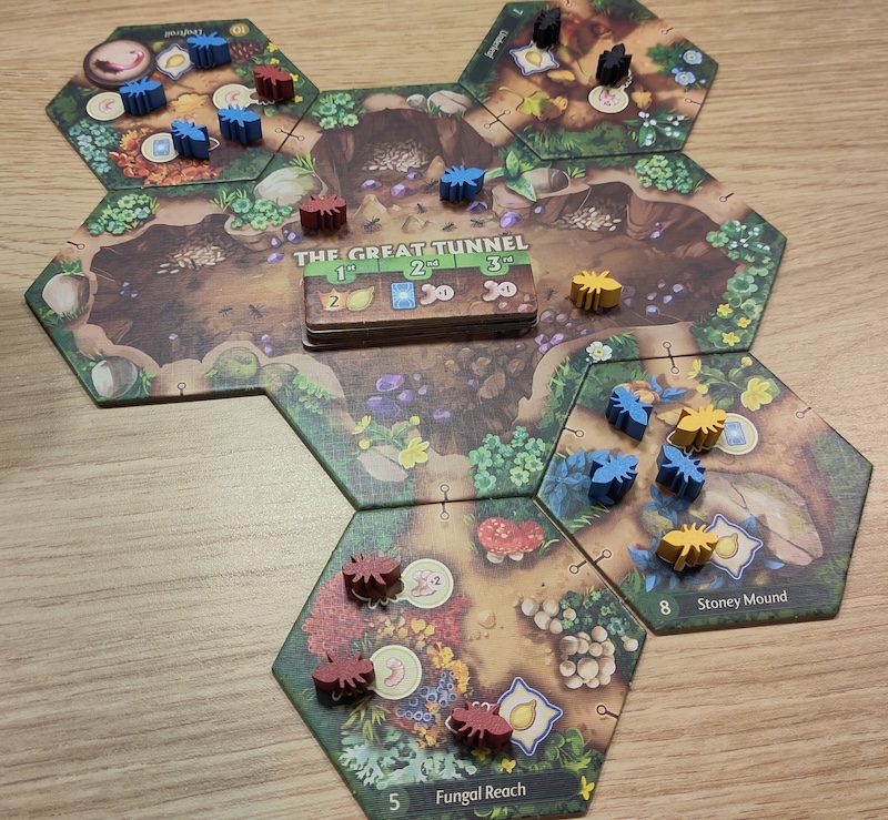 March of the Ants March of the Ants